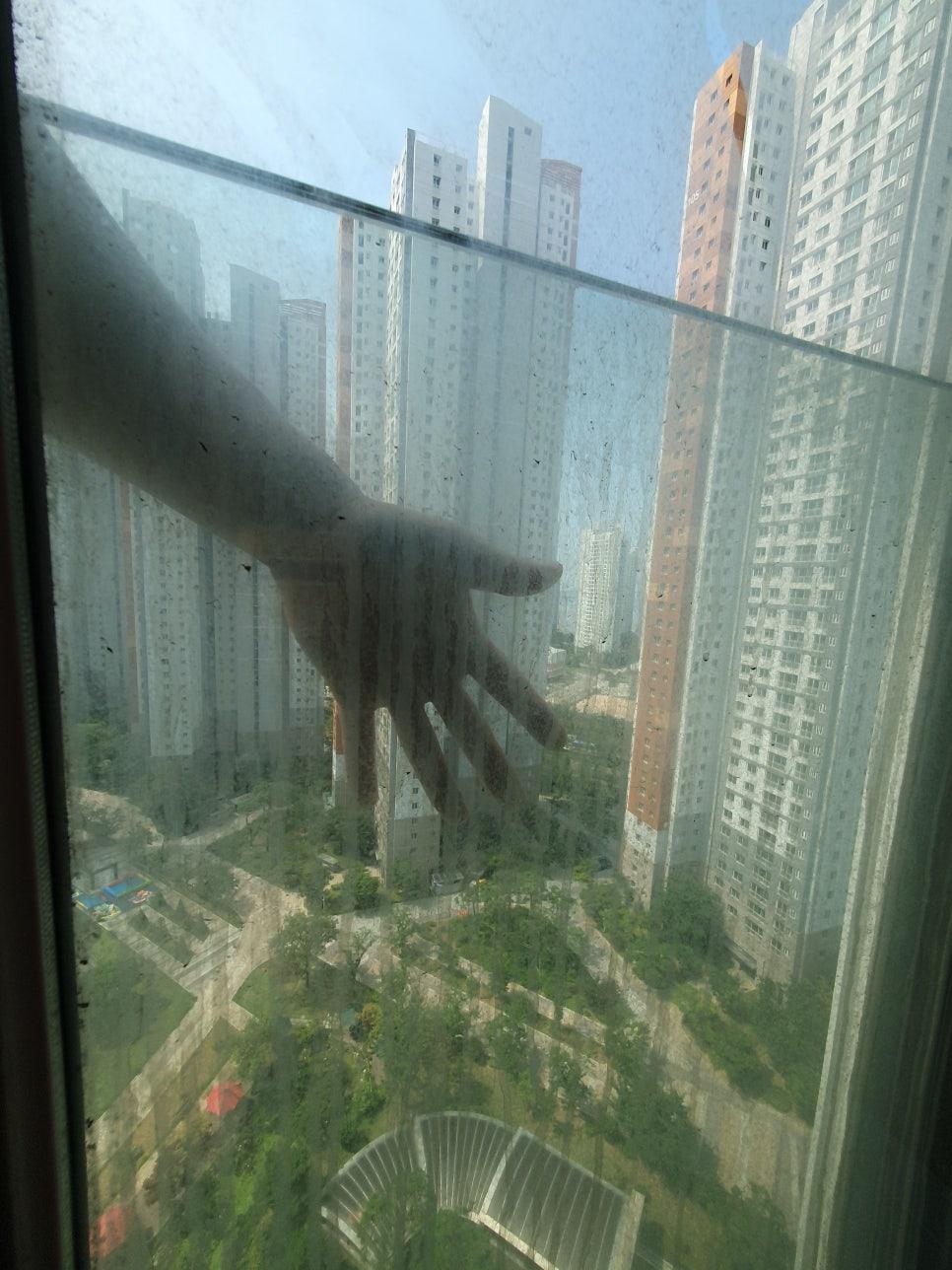 청소 후 투명해진 거실 창밖 풍경