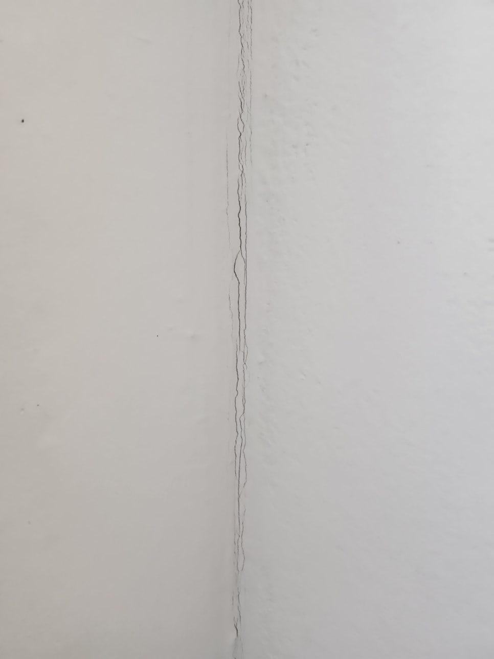 벽면을 따라 길게 이어진 균열의 흔적