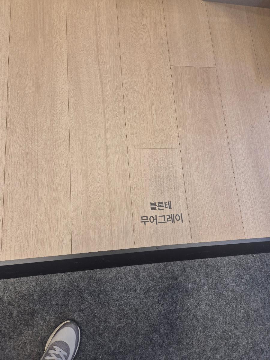 블론테 무어그레이의 질감을 확인할 수 있는 순간