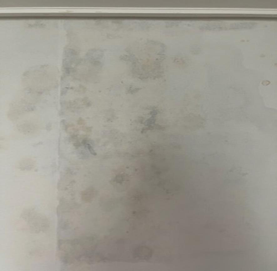 습기로 인한 벽면 변색