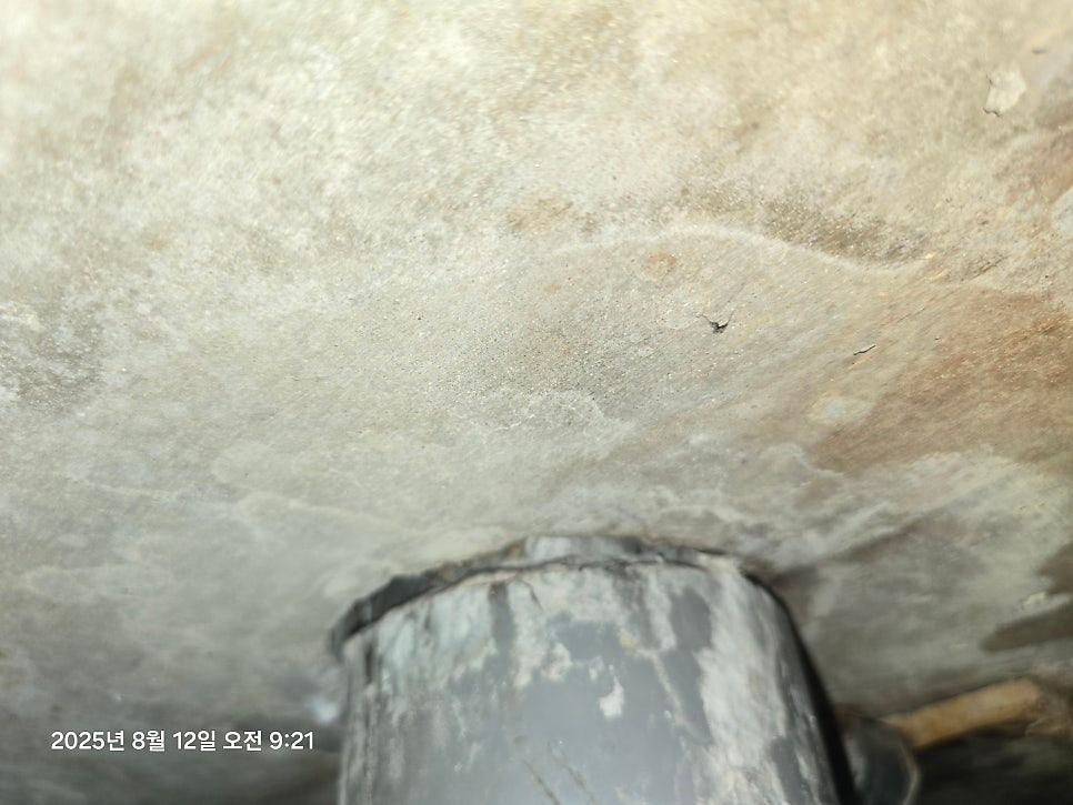배관 주변 현장 상태