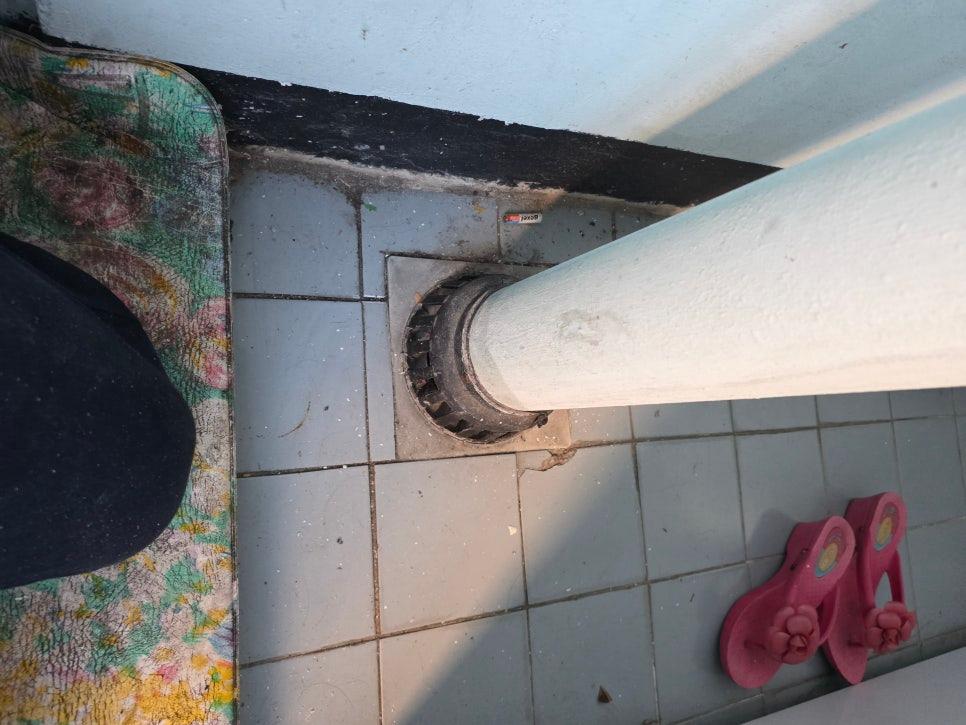 배수구 주변 점검 현장