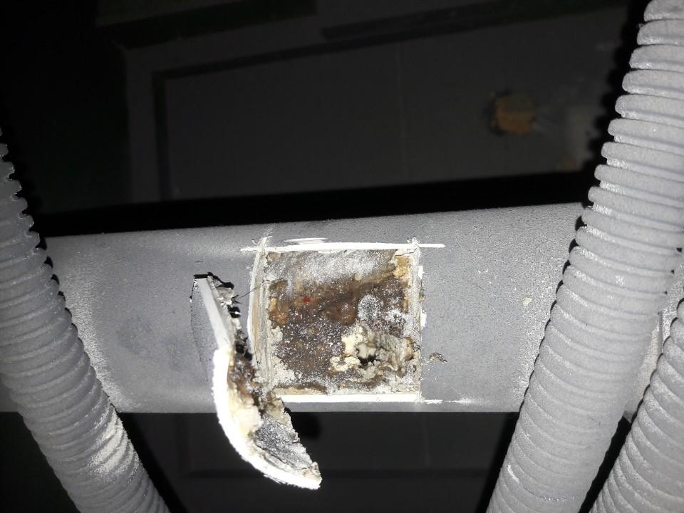 손상된 부분이 보이는 흰색 플라스틱 파이프