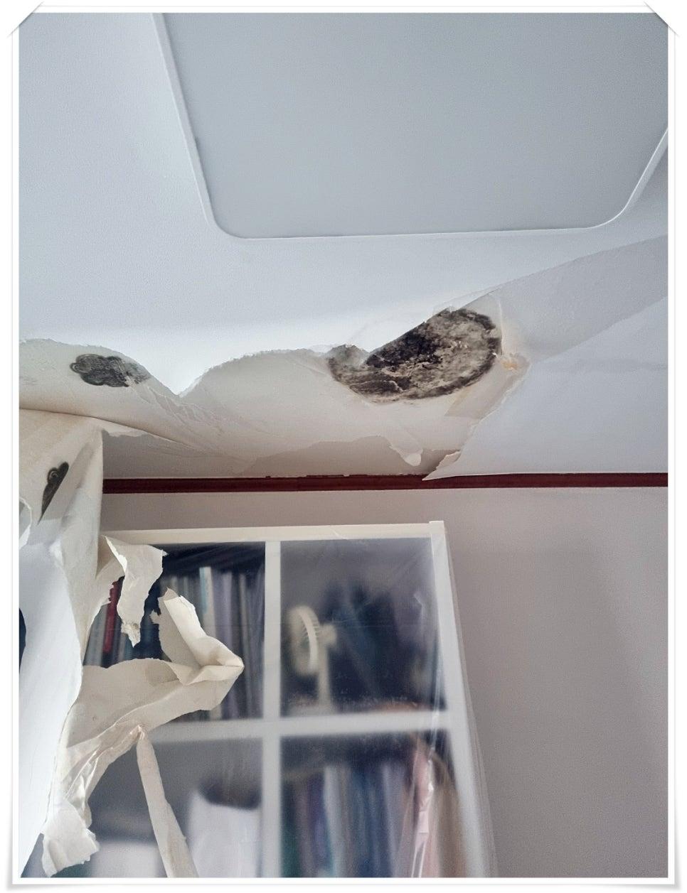 천장에 곰팡이가 발생한 모습