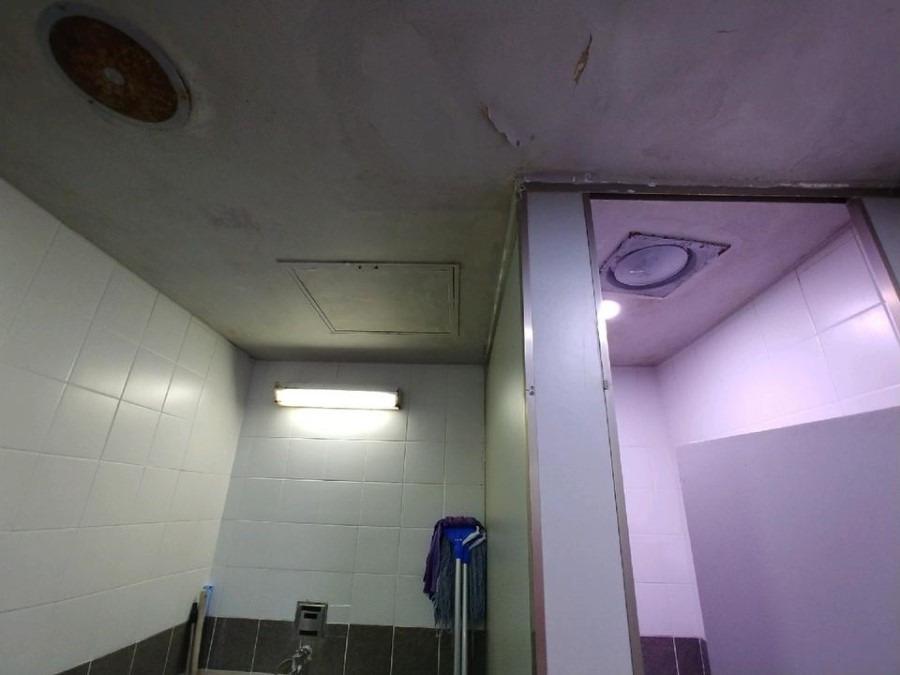 타일 벽면과 천장이 보이는 욕실 마감 구간