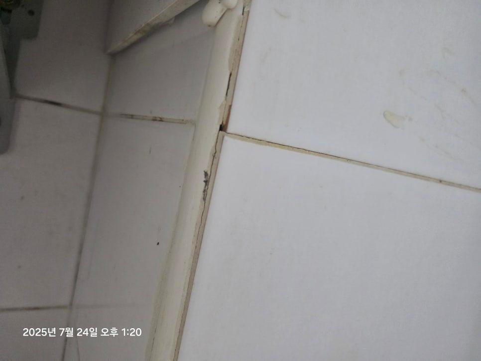 타일 벽면의 얼룩진 상태
