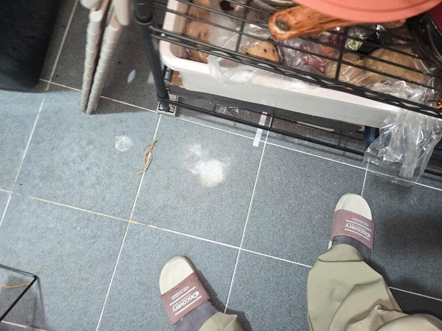 베란다 바닥 및 주변 환경