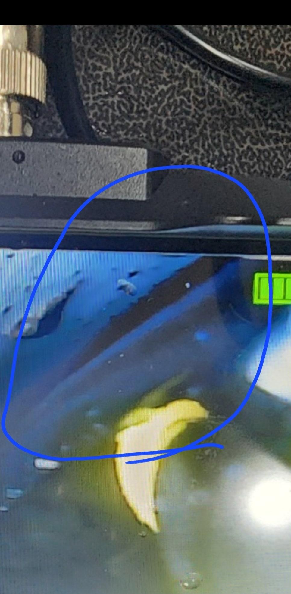 수치를 확인하는 디스플레이 화면