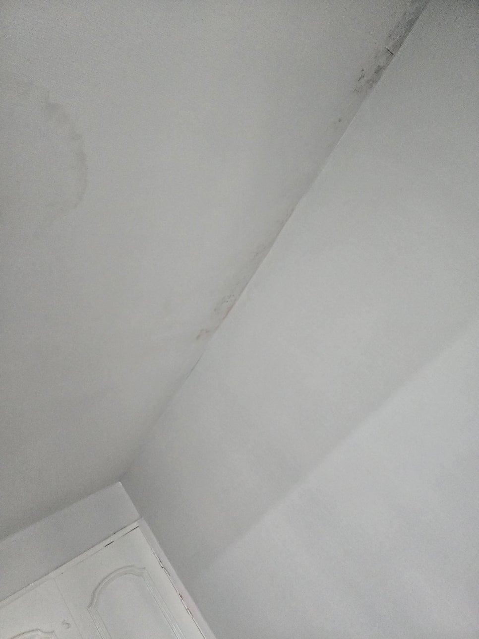 비어있는 흰색 벽면과 천장