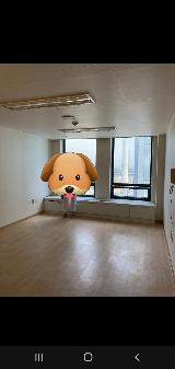 페인트마감