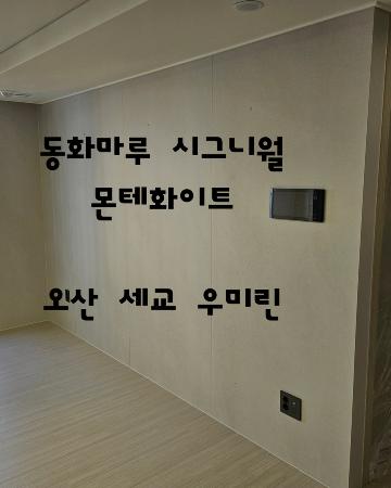 동화자연마루 시그니월 몬테화이트